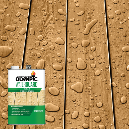 Olympic WaterGuard 1 Gallon Clear Exterior Waterproofing Wood Sealer